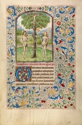 Adam und Eva essen die verbotene Frucht